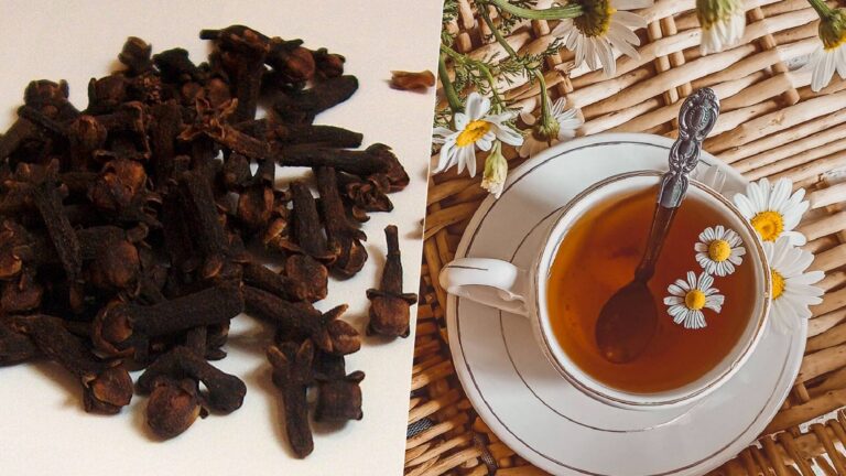 El Poder Oculto en tu Cocina: 6 Beneficios Científicos del Té de Clavo de Olor.