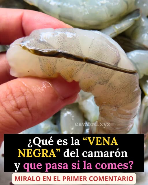 La vena del camarón: ¿se quita o se deja? El detalle que muchos desconocen