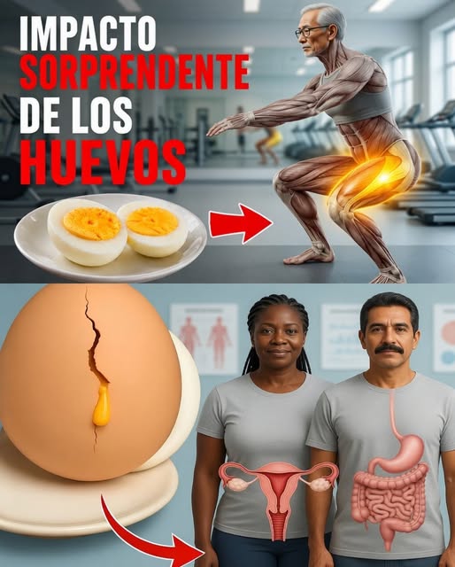 Qué sucede cuando comes 2 huevos al día? Lo que muchas personas quieren saber
