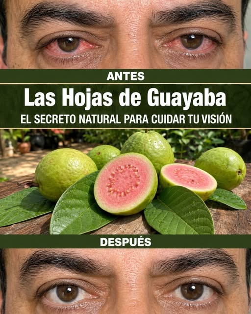 Jugo de Repollo: El Remedio de la Abuela Que Muchos Usan Para el Bienestar Digestivo