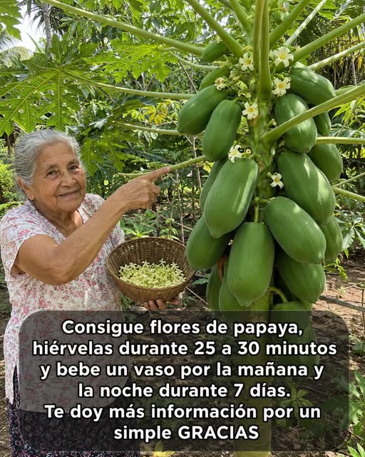 Beneficios de la Flor de Papaya para la Salud y Cómo Prepararla: Guía Completa de Uso Seguro
