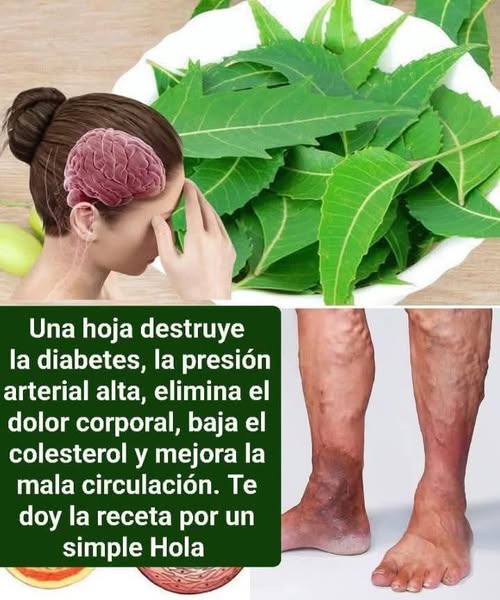 Descubre los Increíbles Beneficios de las Hojas de Neem para tu Salud