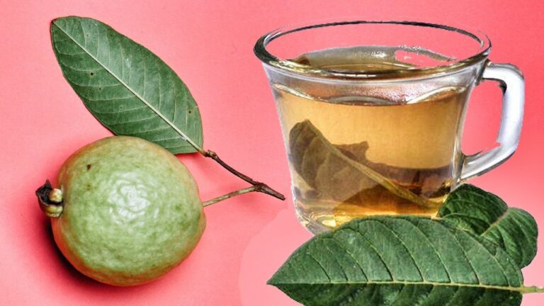 La Hoja de Guayaba y Sus Beneficios Naturales 🍃
