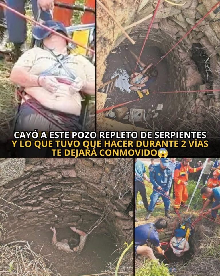 Mujer sobrevivió 54 horas atrapada en un pozo de ocho metros rodeada de serpientes: su increíble historia conmovió a miles