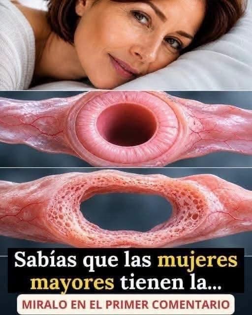 ¿Las mujeres mayores tienen la vagina más grande? Lo que realmente dice la ciencia sobre los cambios con la edad
