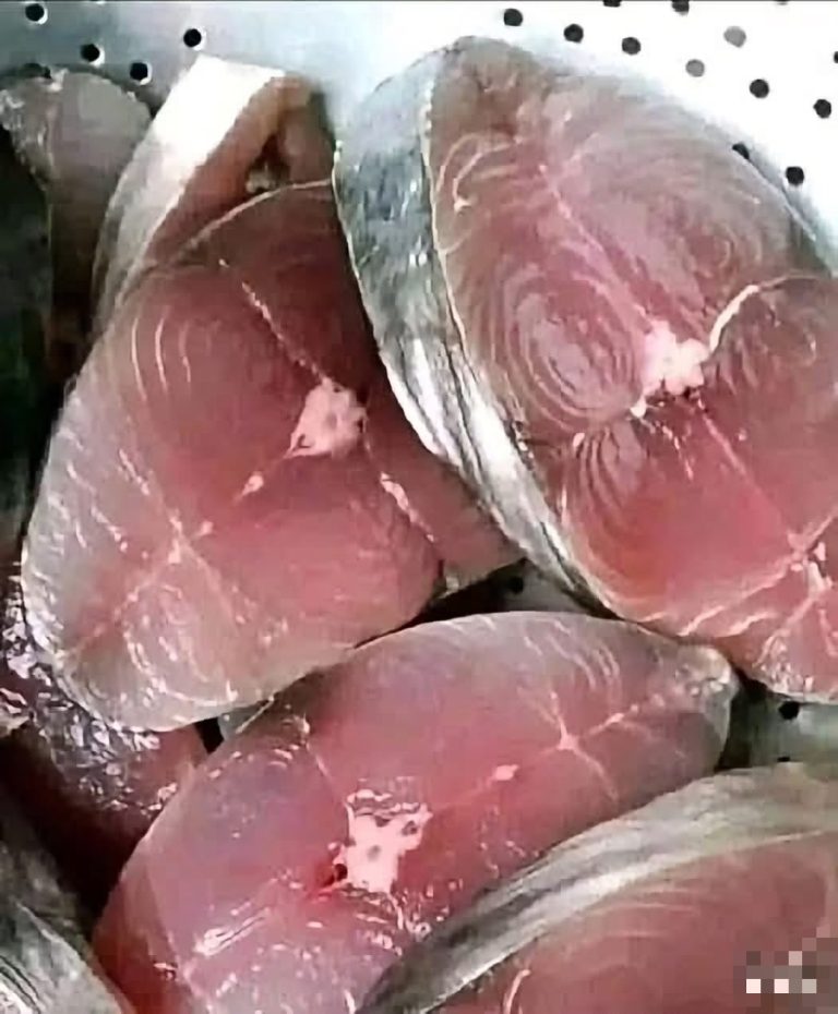 Comer pescado con frecuencia puede aportar estos importantes beneficios al organismo