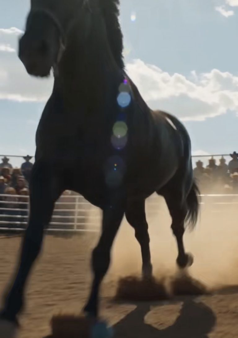 Todos se burlaron cuando entró al ruedo, pero ella caminó directamente hacia el caballo