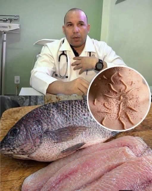 ¿Es peligroso comer tilapia? Esto es lo que realmente dice la ciencia sobre este popular pescado