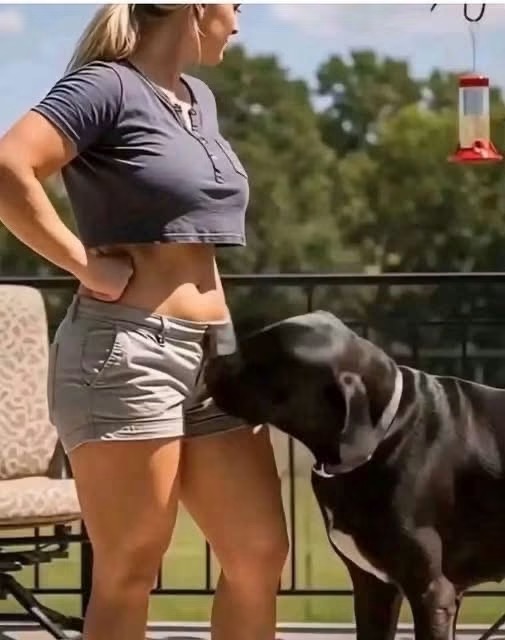La verdadera razón por la que los perros olfatean la zona íntima de algunas mujeres