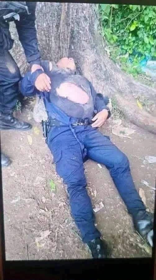 Investigan el hallazgo de un miembro de seguridad en una zona arbolada