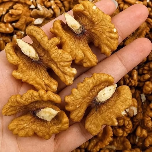 Los cambios que comer nueces con frecuencia puede producir en el organismo