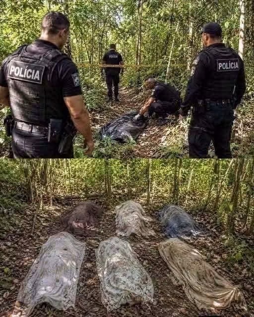 Siete cuerpos fueron localizados en zona limítrofe entre Zacatecas y San Luis Potosí: cuatro policías fueron detenidos
