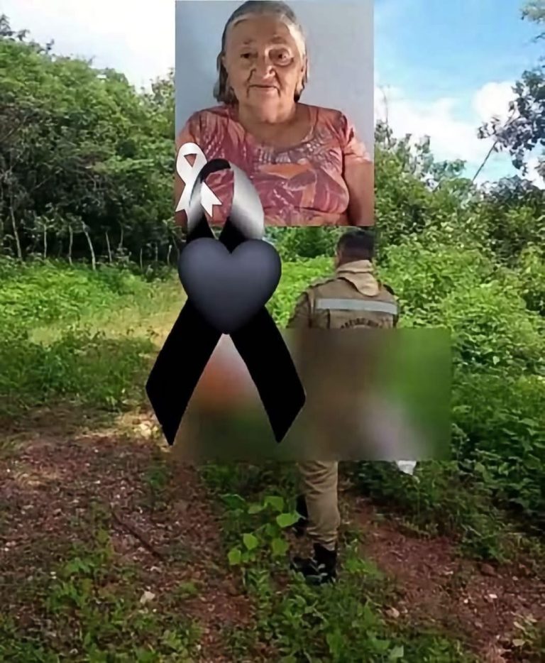 Miles hablan del caso de la adulta mayor que permaneció tres días perdida en la selva de Yucatán